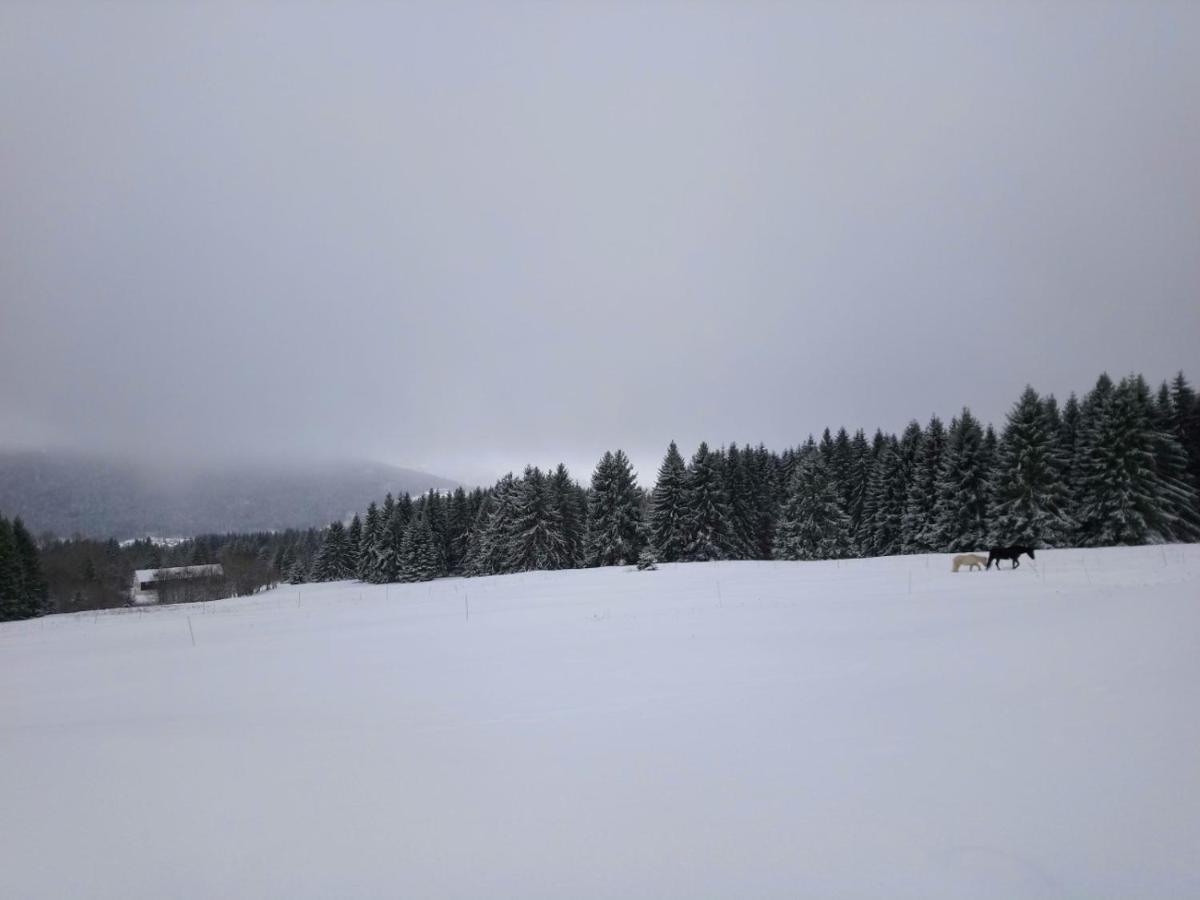 La Ferme Du Levant Gerardmer Luaran gambar