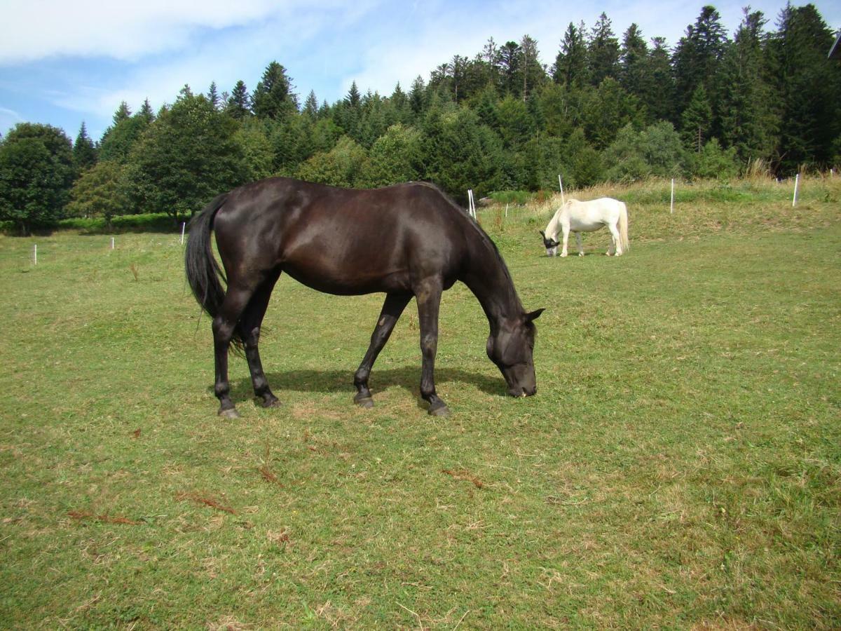 La Ferme Du Levant Gerardmer Luaran gambar